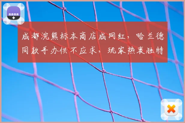 成都浣熊标本商店成网红，哈兰德同款手办供不应求，玩家热衷独特球星周边收藏